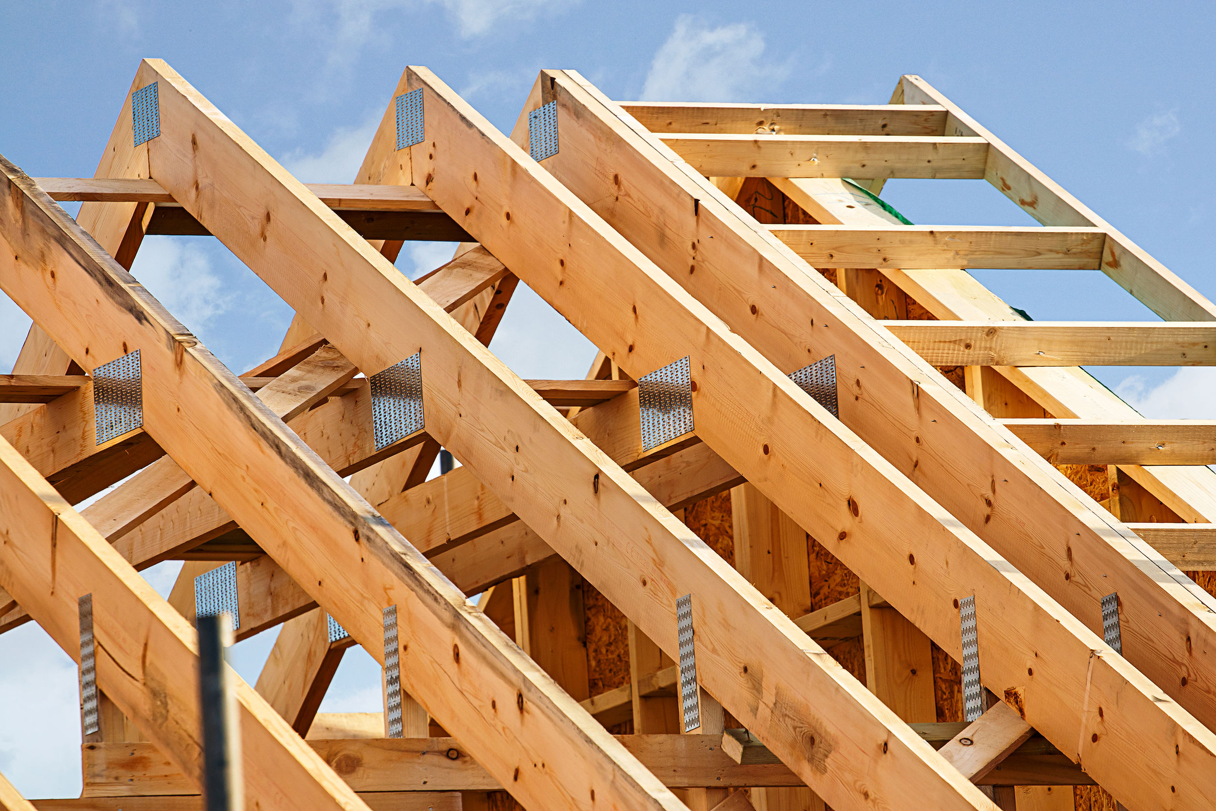 Bâtiment à ossature bois standard avec gros plan sur les fermes de de la charpente du toit